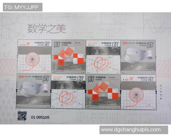 与周秀英畅谈她的足球生涯与心路历程的精彩对话
