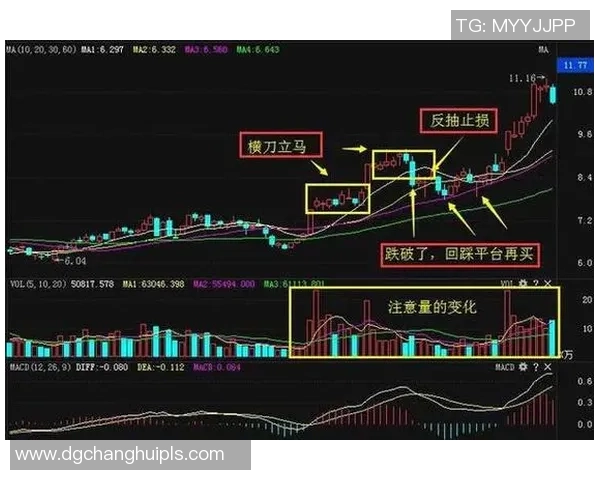 足球明星替补现象与股市波动的奇妙联系探讨