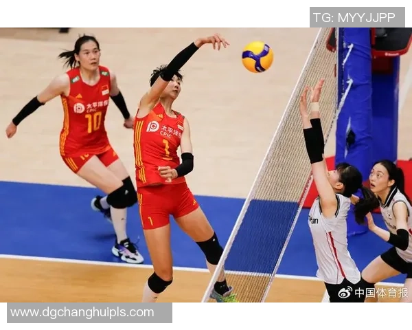 南京排球队团队协作能力提升显著创新高排名引发广泛关注与赞誉