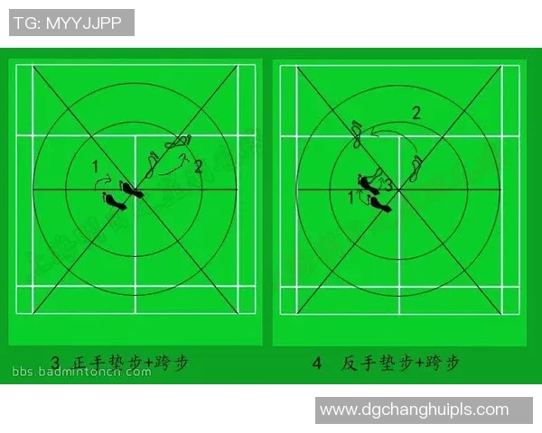 深圳羽毛球队进攻体系解析与战术应用研究